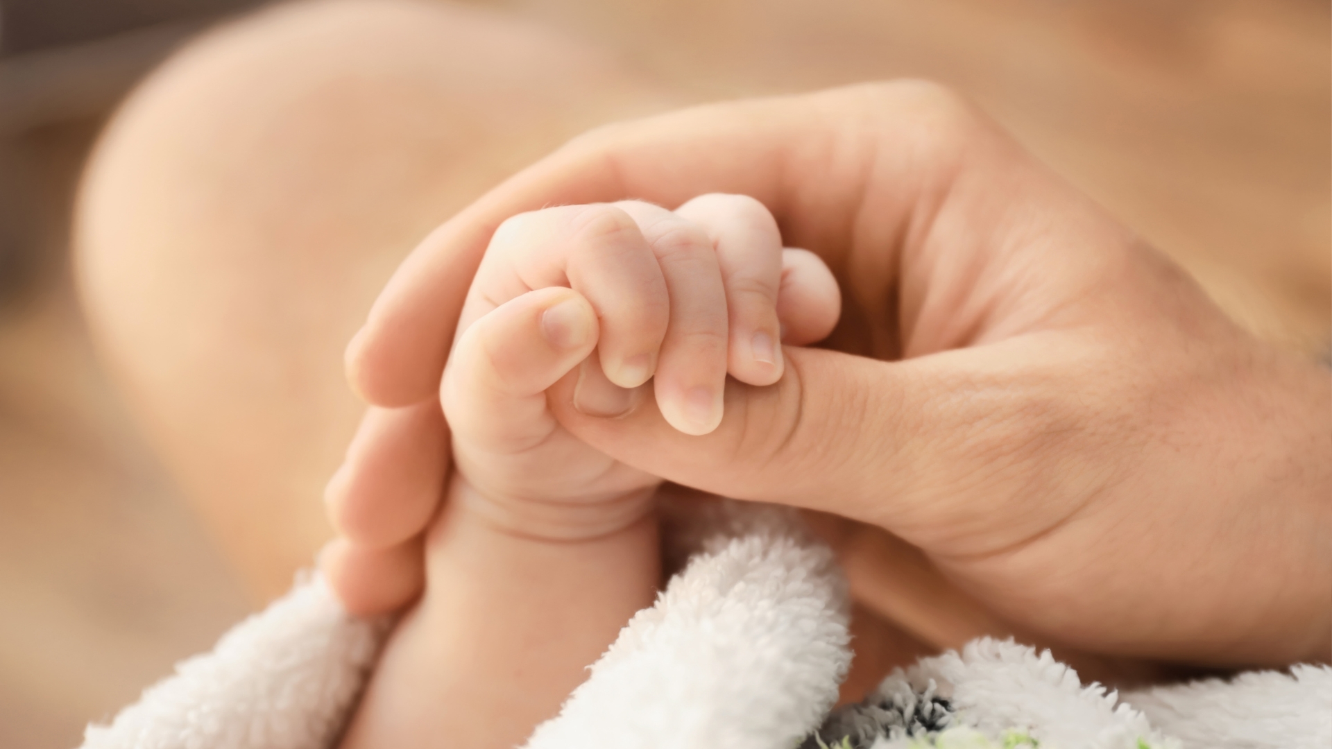 Vers un nouveau titre professionnel en crèche : le SNPPE exprime ses inquiétudes