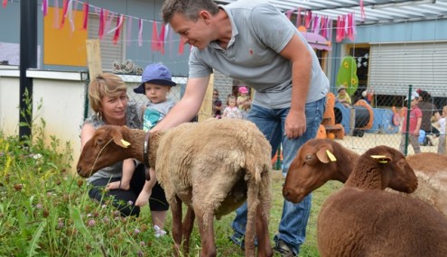 Image de l'article Le rôle des animaux dans le développement des enfants